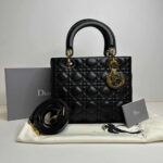 CHRISTIAN DIOR BAG